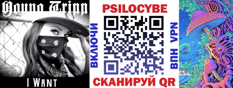 Псилоцибиновые грибы прущие грибы  ссылка на мегу как войти  Губкин 