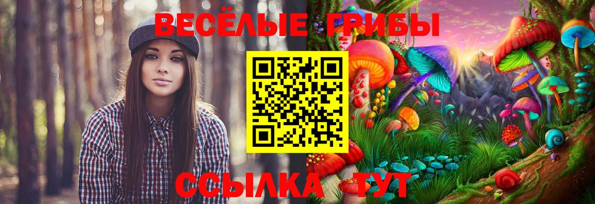 Губкин  Псилоцибиновые грибы GOLDEN TEACHER  закладки  Вход с VPN 