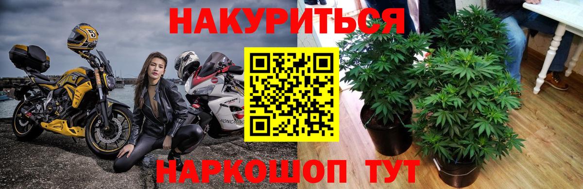 Марихуана OG Kush  Марихуана Amnesia  Вход с VPN  Губкин 