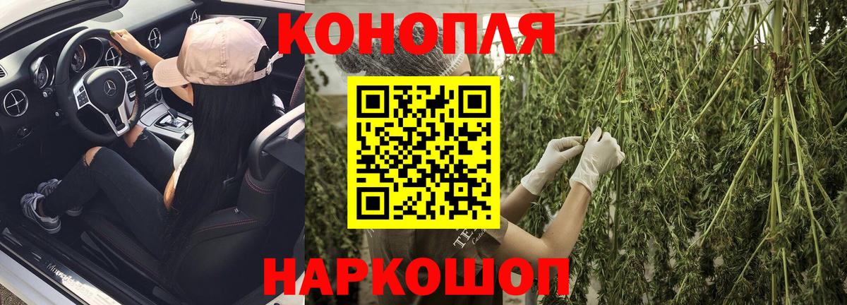 Бошки марихуана OG Kush Губкин